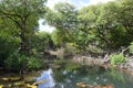 Curacao Rif Mangrove Park landscape