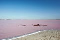 Curative pink mud lake on a sunny day