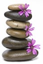 Curative stones and purple flowers.