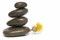 Curative stones and yellow flower. Royalty Free Stock Photo