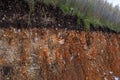 The curb erosion from storms. To indicate the layers of soil and rock. Nature cross section soil underground with green grass, Royalty Free Stock Photo