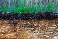 The curb erosion from storms. To indicate the layers of soil and rock. Nature cross section soil underground with green grass, Royalty Free Stock Photo