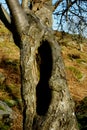 Curbar Edge, Peak District, Derbyshire, Royalty Free Stock Photo