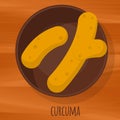 Curcuma flat design vector icon.