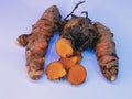 Turmeric is one of the spices and medicinal plants