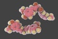 Curcumin molecule, a yellow-orange dye obtained from turmeric, 3D illustration