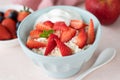 Curd cheese or cottage cheese bowl with strawberies Royalty Free Stock Photo