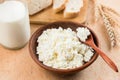 Curd cheese, cottage cheese or tvorog in bowl