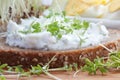 Curd cheese with cress on bread Royalty Free Stock Photo