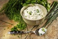 Curd with chives Royalty Free Stock Photo