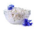 Curd and flower cornflower close-up Royalty Free Stock Photo