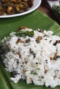 Curd Rice from South India Royalty Free Stock Photo