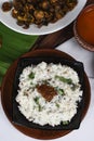 Curd Rice from South India Royalty Free Stock Photo