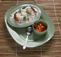 Curd rice Royalty Free Stock Photo