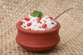 Curd rice yogurt rice popular dish of South India Royalty Free Stock Photo