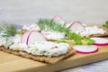 Curd sandwiches and herbs. A photo of crackers, crisp rye bread toast with cottage cheese decorated with radish, cucumber and dill