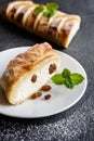 Curd strudel with raisins and sprinkled with icing sugar Royalty Free Stock Photo