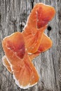 Cured Pork Ham Slices On Old Knotted Cracked Wooden Garden Table