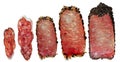 Cured pork sausage with spices, similar to fouettes, chorizo and saucisson. Closeup of charcuterie meat products food photography
