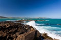 Curio Bay, South Coast of New Zealand South Island Royalty Free Stock Photo