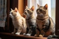 Curiosity Piqued: Three Feline Friends on a Windowsill Adventure