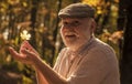 Curiosity to botany. Explore world around. Pensioner hiking in forest on sunny autumn day. Man enjoy autumn nature. See Royalty Free Stock Photo