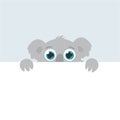 Curious australian koala peeps out. flat vector cartoon illustration