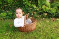 Curious baby boy in wicked basket