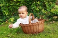 Curious baby boy in wicked basket picking flower