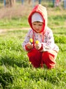 Curious baby girl examining flowers Royalty Free Stock Photo