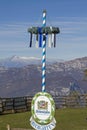 Curious - Bavarian maypole in front of Adamello group