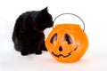 Curious Black Kitten and Candy Pumpkin Royalty Free Stock Photo