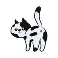 A curious black-and-white cat with a raised tail is peeping. Vector illustration isolated on a white background. For