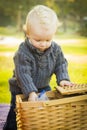 Curious Blonde Baby Boy Opening Picnic Basket Outdoors at the Park Royalty Free Stock Photo