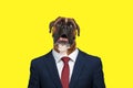 Curious boxer dog in elegant navy blue suit looking up and panting Royalty Free Stock Photo
