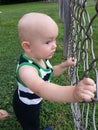 Curious Boy Looking Through Fence Royalty Free Stock Photo