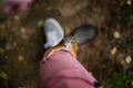 Curious brave wild squirrel with a fluffy tail climbs on the foo Royalty Free Stock Photo