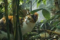 A curious calico cat sits in the middle of a garden surrounded by plants, A curious calico cat exploring a garden