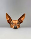 Curious Canine: A Dog's Inquisitive Gaze Over the Edge. Generative ai Royalty Free Stock Photo