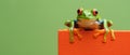 Curious Cartoon Frog Peering Over Edge. Generative ai