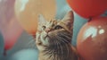 Curious Cat Amongst Colorful Balloons Royalty Free Stock Photo