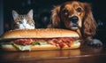 Curious cat and dog eyeing a hot dog. Created with AI Royalty Free Stock Photo