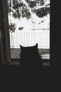 A curious cat perches on a windowsill, gazing out at a majestic mountain range blanketed in snow. T