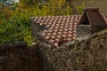 A curious cat on the roof of the medieval village of Guardistall