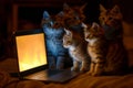 Curious Cats Gather Around The Glowing Laptop Screen