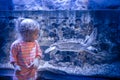 Curious child girl looking at marine underwater sea turtle aquarium in deep blue color concept children curiosity Royalty Free Stock Photo