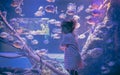 Curious child looking big aquarium underwater world with freshwater piranha fish concept children curiosity and development in blu Royalty Free Stock Photo