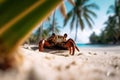 curious crab on the sand surrounded by blurred palm trees and beach scenery in the background, Generative AI Royalty Free Stock Photo