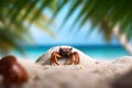 curious crab on the sand surrounded by blurred palm trees and beach scenery in the background, Generative AI Royalty Free Stock Photo