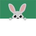 Curious cute Easter Bunny with big eyes, cartoon flat vector illustration with blank banner for text poster